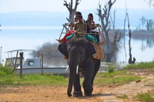 Sakrebayalu Elephant Camp